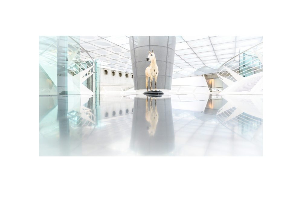 …der heilige gral des sterns…