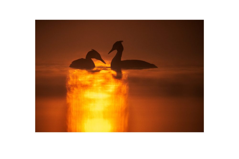 …floating-hide-saison eröffnet (8)…