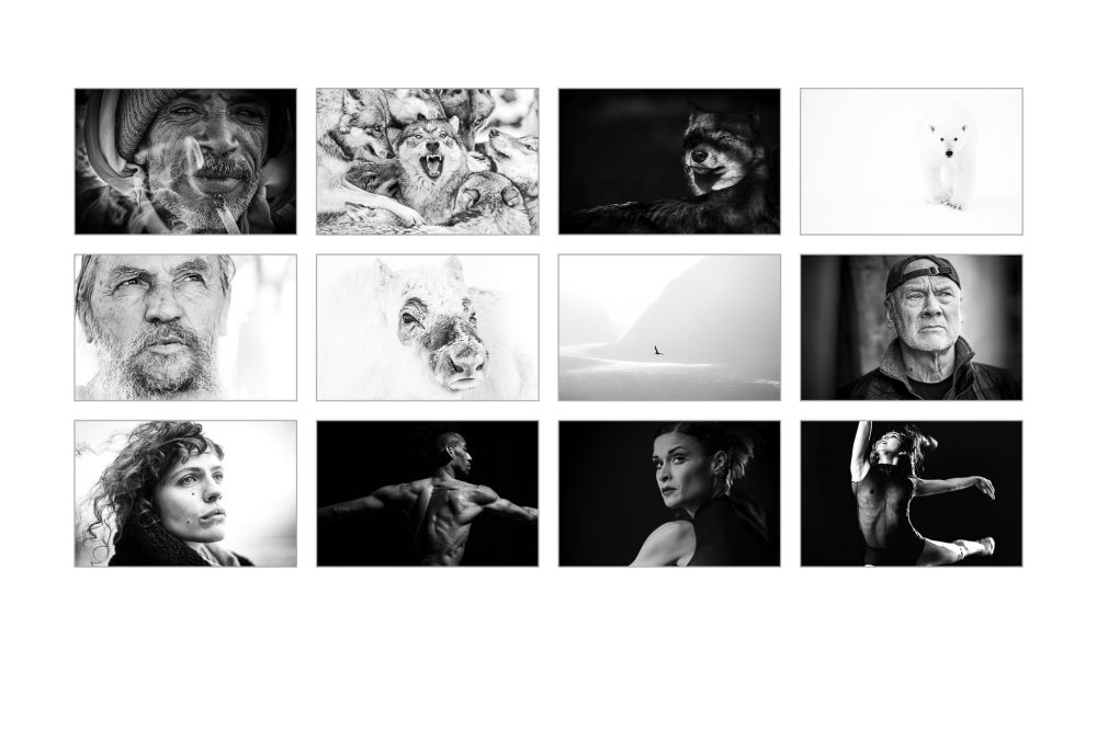 …AUSGESTELLTE BILDER…