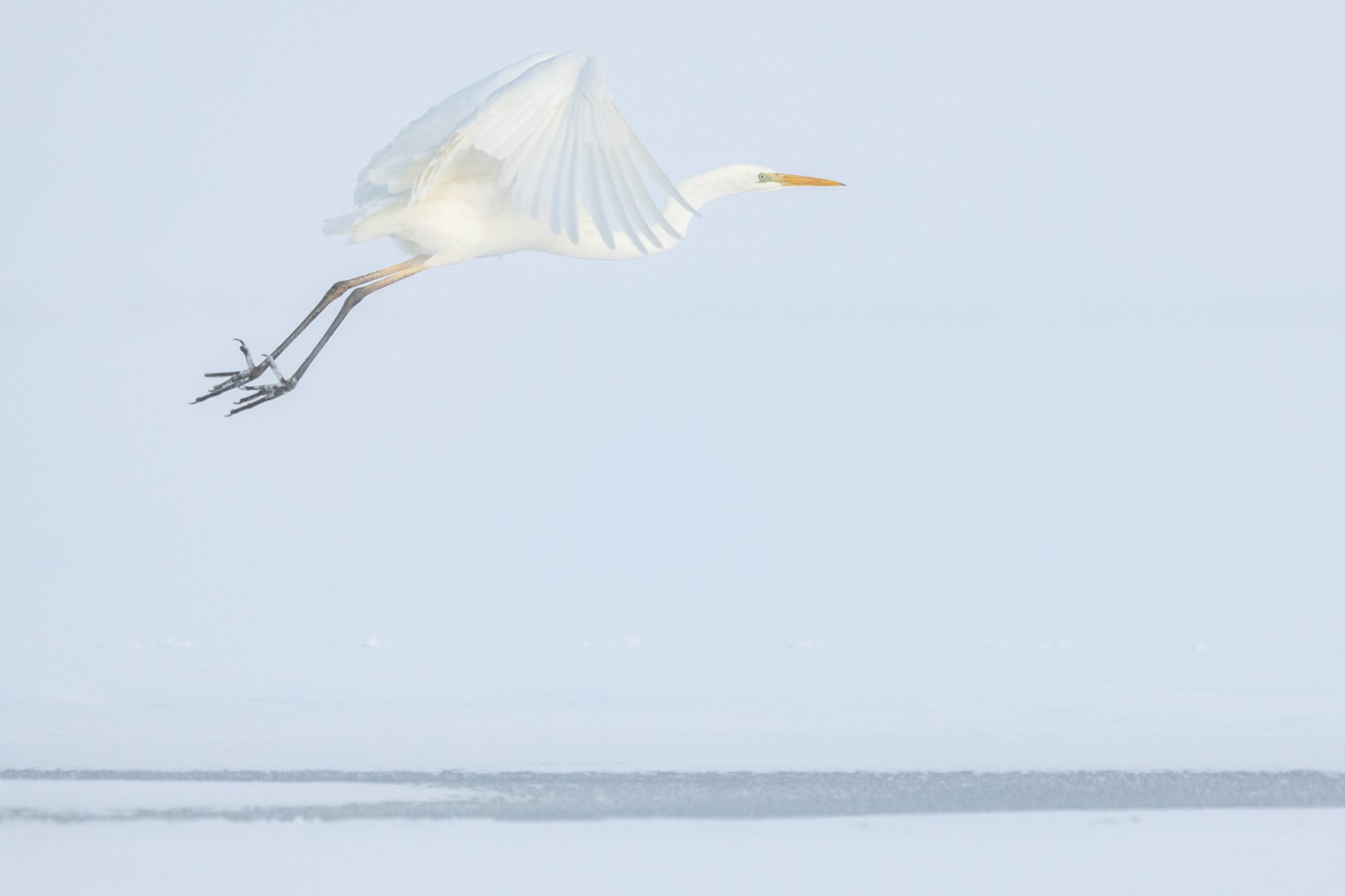 …WINTER AM SEEBURGER SEE…