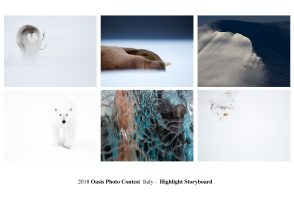„Highlight“ – Auszeichnung im OASIS Photo Contest